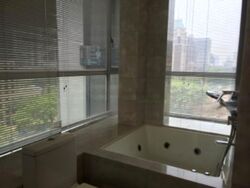 Angullia Park Residences @ Orchard (D10), Apartment #471967911